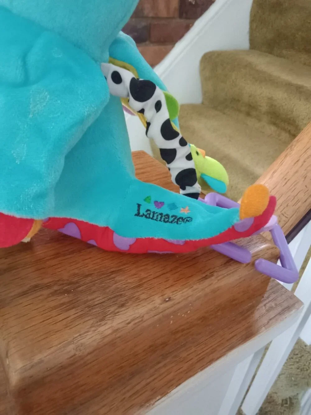Infant Sensory Toy